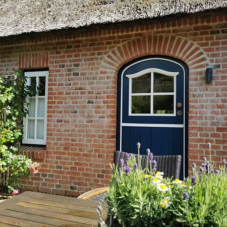 Litzkow 10801 * Morsum (Sylt)